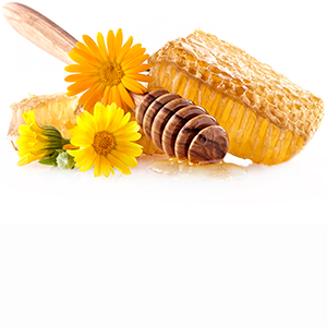 Swiss flower honey Herbasol® Extract Glycerine unpreserved